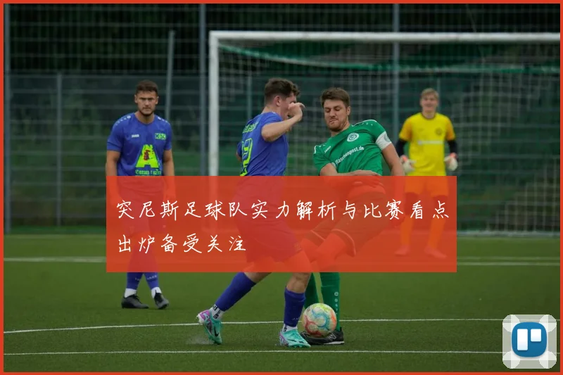 突尼斯足球队实力解析与比赛看点出炉备受关注