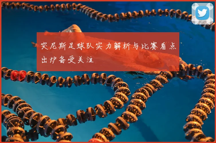 突尼斯足球队实力解析与比赛看点出炉备受关注