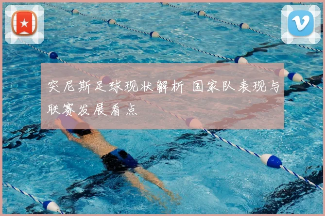 突尼斯足球现状解析 国家队表现与联赛发展看点