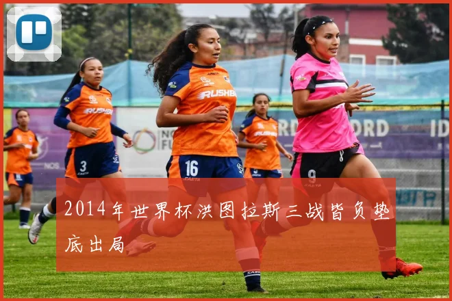 2014年世界杯洪图拉斯三战皆负垫底出局